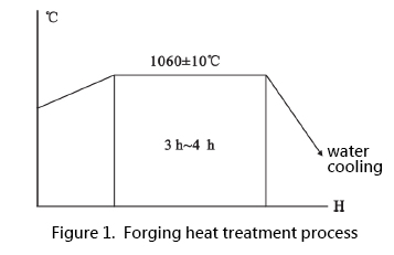 VHeat Treatment of Forgings | INOX-TEK
